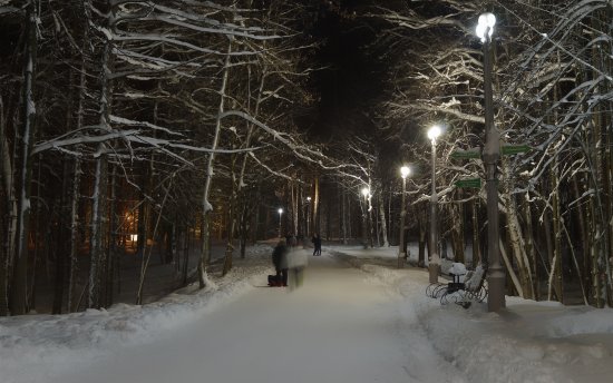 Вечер в заснеженном парке 3