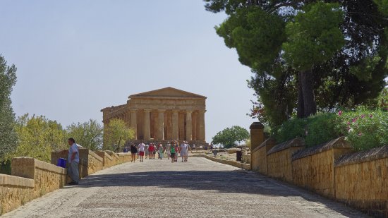 Агридженто 8