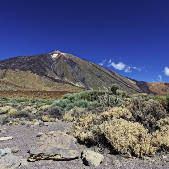 У подножия Тейде 3