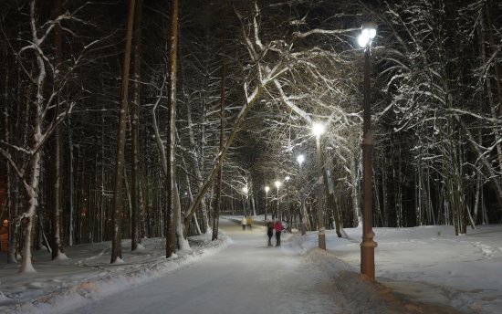 Вечер в заснеженном парке 1