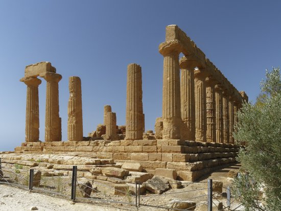 Агридженто 4