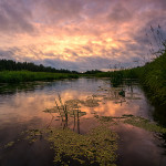 После грозы