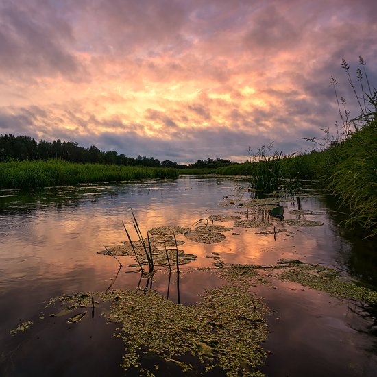 После грозы