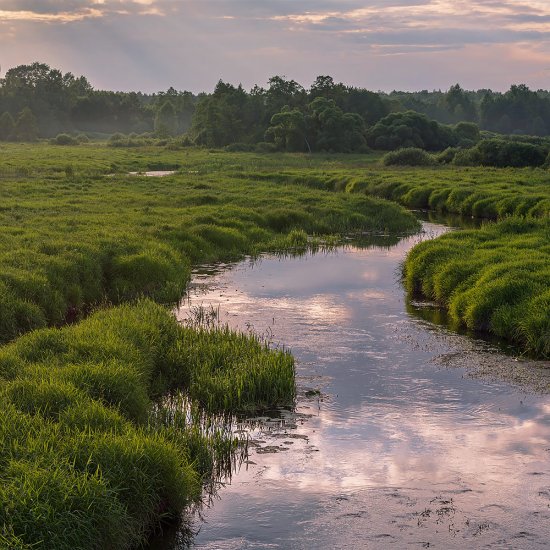 [Group-0]-DSC_1139_DSC_1141-3-images_min