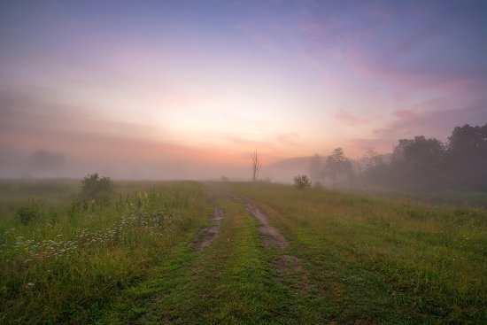 Навстречу солнцу