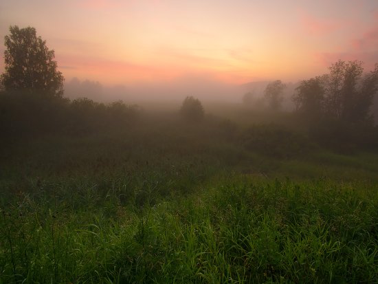 Ёжик, .... Ёжик...