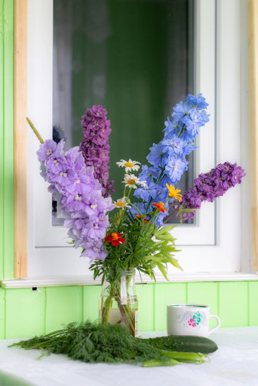 50129582443_50eeab3bce_o