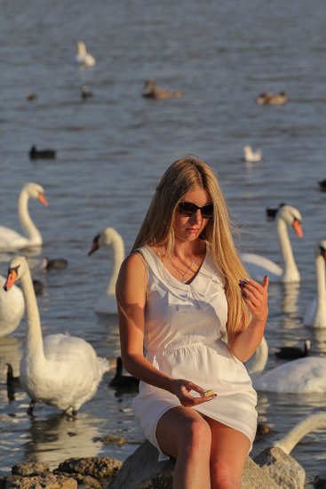 50279019928_a7a35870f1_o